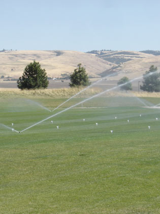 Architecure Detailed Image